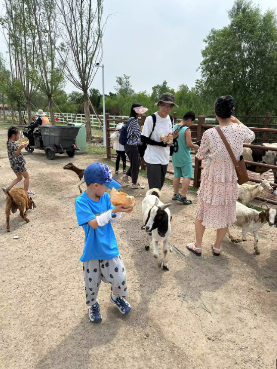 1db3a60395bc4826a7351c209d780ad2.png 1db3a60395bc4826a7351c209d780ad2.png