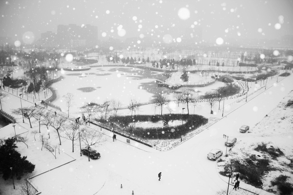 【科大雪景组图—泰达校区-天津科技大学新闻网