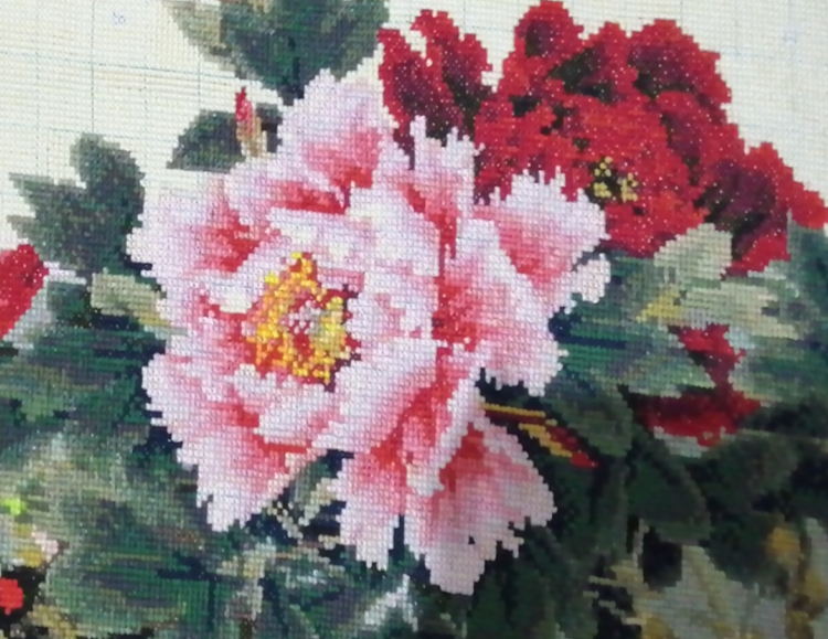 db27508115c2436c9128667ff59127b9.png