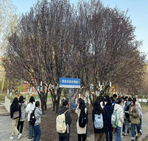 49afae72a73346a489b007aad8897042.png 49afae72a73346a489b007aad8897042.png