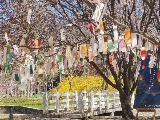 7b2c01b67cec40009dc4733c32267085.png 7b2c01b67cec40009dc4733c32267085.png